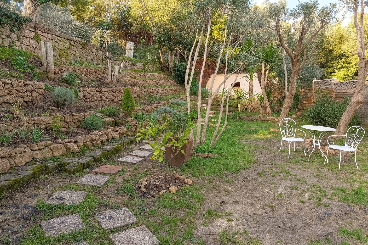 WhatsApp Image 2025-12-10 at 15.32.58